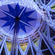 Illustration for article titled Tokyo Xmas Light Shows Overload Senses, Power Grid